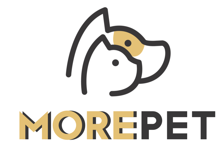 moremorepet.001